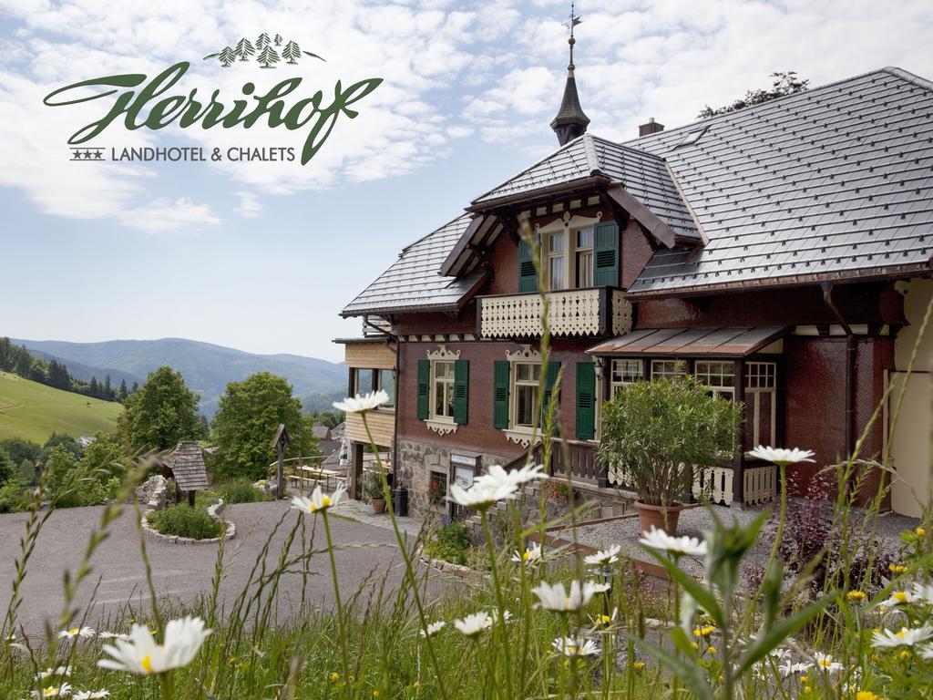 Hotel & Chalets Herrihof 托特瑙贝格 外观 照片
